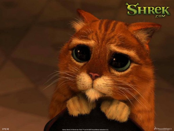 172611-animated-movies-shrek-the-third-puss-in-boots-big-eyes-picture-wallpaper